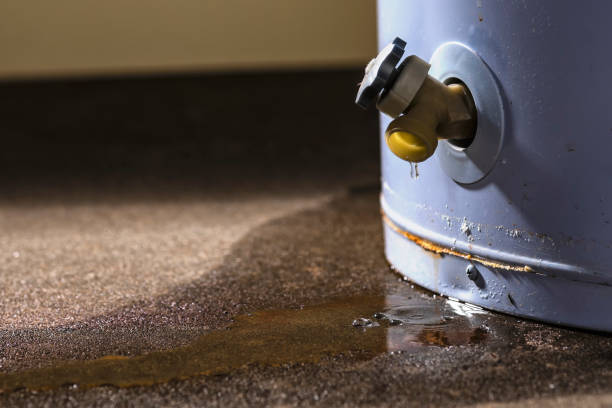Best Sewage cleanup and water damage restoration  in Manasota Key, FL