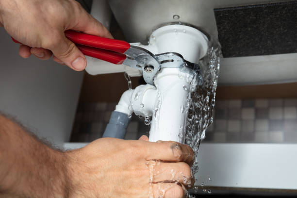 Best Local water damage restoration  in Manasota Key, FL