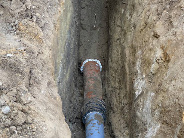 Best Flood restoration services  in Manasota Key, FL