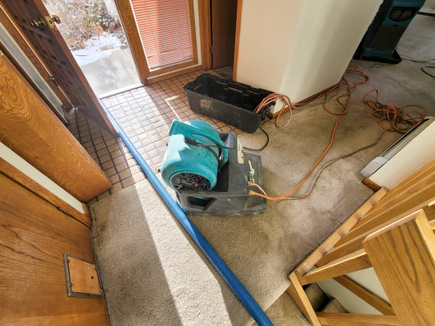 Best Flood damage cleanup  in Manasota Key, FL