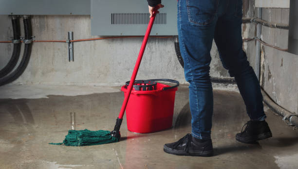 Best Water damage cleanup near me  in Manasota Key, FL