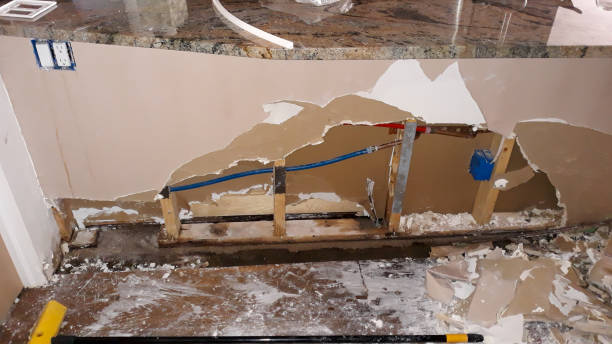 Best Water damage restoration near me  in Manasota Key, FL