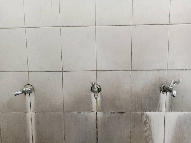 Best Ceiling water damage repair  in Manasota Key, FL