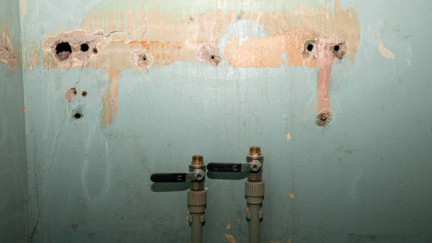 Best Fire Damage Restoration  in Manasota Key, FL