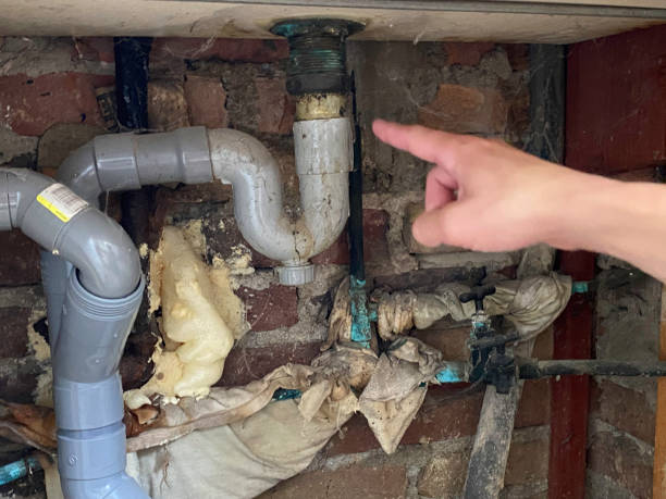 Best Emergency water damage restoration  in Manasota Key, FL