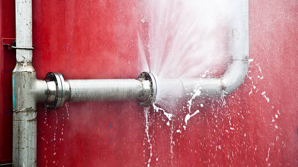 Best Professional water damage repair  in Manasota Key, FL